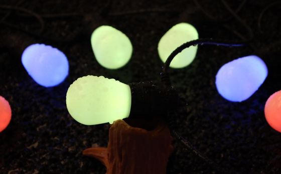 LED RGB Multi Coloured Festoon Lights Waterproof Outdoor Decor String Light 25000H